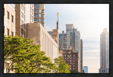 Load image into Gallery viewer, Manhattan Golden
