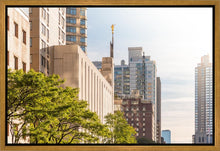 Load image into Gallery viewer, Manhattan Golden
