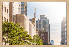 Load image into Gallery viewer, Manhattan Golden
