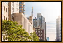 Load image into Gallery viewer, Manhattan Golden
