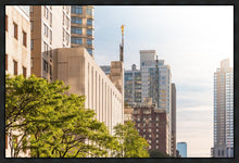 Load image into Gallery viewer, Manhattan Golden
