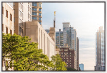 Load image into Gallery viewer, Manhattan Golden
