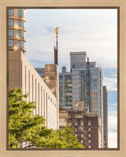 Load image into Gallery viewer, Manhattan Golden
