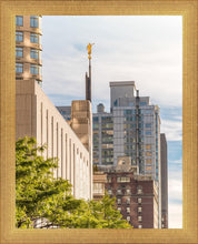 Load image into Gallery viewer, Manhattan Golden
