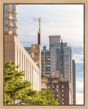 Load image into Gallery viewer, Manhattan Golden

