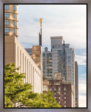 Load image into Gallery viewer, Manhattan Golden
