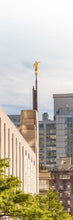 Load image into Gallery viewer, Manhattan Golden
