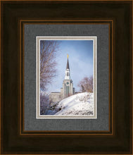Load image into Gallery viewer, Boston Morning Snow Vertical
