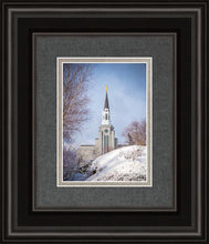 Load image into Gallery viewer, Boston Morning Snow Vertical
