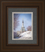 Load image into Gallery viewer, Boston Morning Snow Vertical
