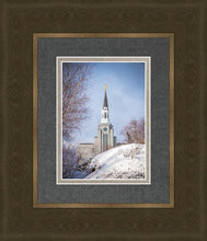 Load image into Gallery viewer, Boston Morning Snow Vertical
