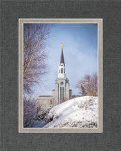 Load image into Gallery viewer, Boston Morning Snow Vertical
