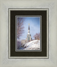 Load image into Gallery viewer, Boston Morning Snow Vertical
