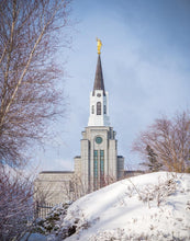 Load image into Gallery viewer, Boston Morning Snow Vertical
