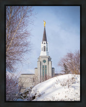 Load image into Gallery viewer, Boston Morning Snow Vertical
