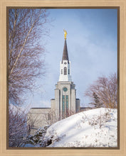 Load image into Gallery viewer, Boston Morning Snow Vertical
