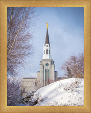 Load image into Gallery viewer, Boston Morning Snow Vertical
