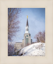 Load image into Gallery viewer, Boston Morning Snow Vertical

