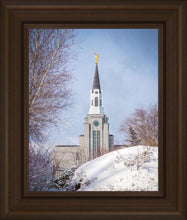 Load image into Gallery viewer, Boston Morning Snow Vertical
