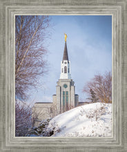 Load image into Gallery viewer, Boston Morning Snow Vertical
