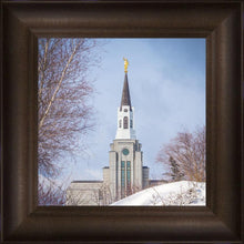 Load image into Gallery viewer, Boston Morning Snow Vertical
