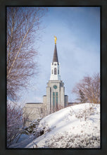 Load image into Gallery viewer, Boston Morning Snow Vertical
