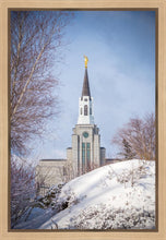 Load image into Gallery viewer, Boston Morning Snow Vertical
