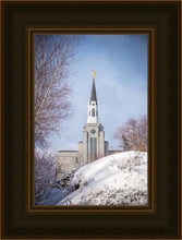 Load image into Gallery viewer, Boston Morning Snow Vertical
