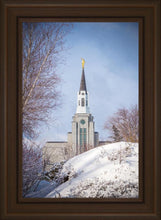 Load image into Gallery viewer, Boston Morning Snow Vertical
