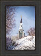 Load image into Gallery viewer, Boston Morning Snow Vertical
