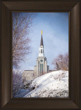 Load image into Gallery viewer, Boston Morning Snow Vertical
