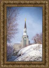 Load image into Gallery viewer, Boston Morning Snow Vertical

