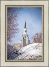 Load image into Gallery viewer, Boston Morning Snow Vertical
