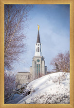 Load image into Gallery viewer, Boston Morning Snow Vertical
