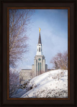 Load image into Gallery viewer, Boston Morning Snow Vertical
