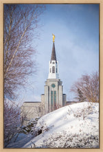 Load image into Gallery viewer, Boston Morning Snow Vertical
