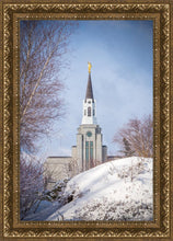 Load image into Gallery viewer, Boston Morning Snow Vertical
