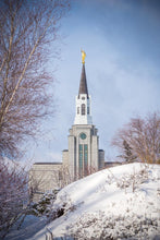 Load image into Gallery viewer, Boston Morning Snow Vertical
