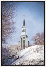 Load image into Gallery viewer, Boston Morning Snow Vertical
