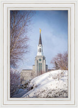 Load image into Gallery viewer, Boston Morning Snow Vertical
