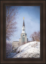 Load image into Gallery viewer, Boston Morning Snow Vertical
