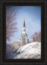 Load image into Gallery viewer, Boston Morning Snow Vertical
