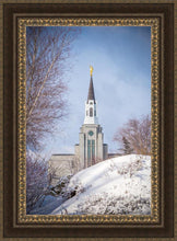 Load image into Gallery viewer, Boston Morning Snow Vertical
