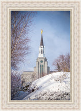Load image into Gallery viewer, Boston Morning Snow Vertical
