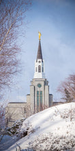 Load image into Gallery viewer, Boston Morning Snow Vertical
