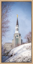 Load image into Gallery viewer, Boston Morning Snow Vertical
