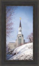 Load image into Gallery viewer, Boston Morning Snow Vertical
