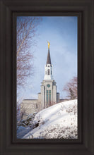 Load image into Gallery viewer, Boston Morning Snow Vertical

