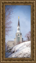 Load image into Gallery viewer, Boston Morning Snow Vertical
