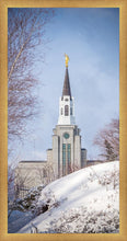 Load image into Gallery viewer, Boston Morning Snow Vertical
